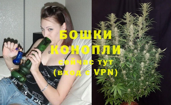 спиды Нея