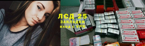 спиды Нея