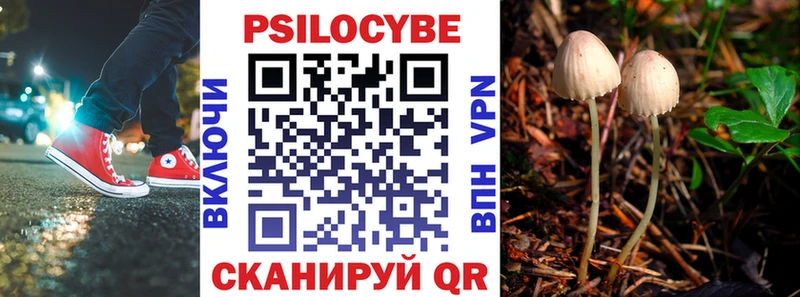 ссылка на мегу   Брюховецкая  Галлюциногенные грибы мухоморы  закладка 